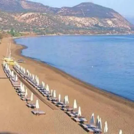 Marion 2* Polis